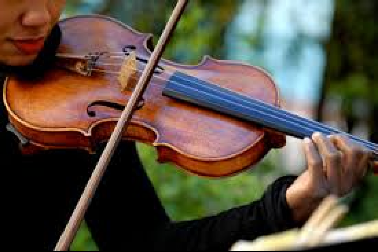 Violino ©Donnamoderna